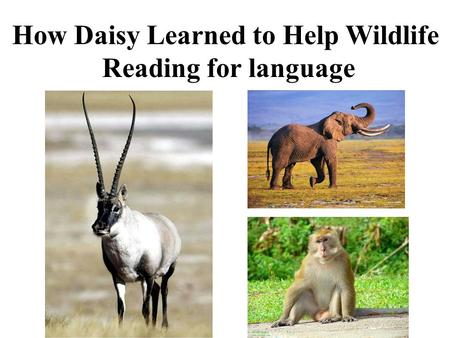 How Daisy Learned to Help Wildlife Reading for language.