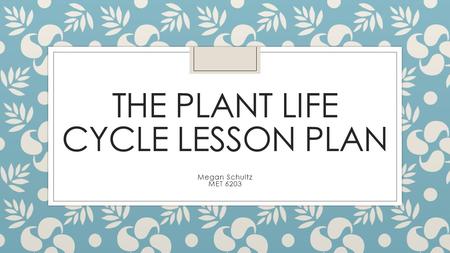 THE PLANT LIFE CYCLE LESSON PLAN Megan Schultz MET 6203.