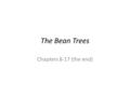 The Bean Trees Chapters 8-17 (the end). Chapter 8, Question #2 “What does Taylor mean when she claims that it was a “conspiracy” that “everybody behaved.