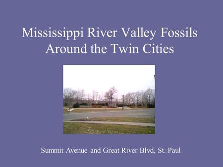 Mississippi River Valley Fossils Around the Twin Cities Summit Avenue and Great River Blvd, St. Paul.