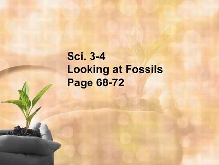 Sci. 3-4 Looking at Fossils Page 68-72. A. Fossil- any naturally preserved evidence of life.