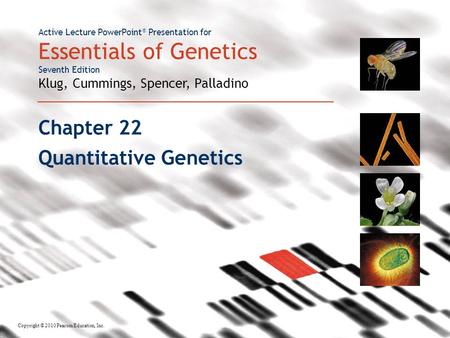 Active Lecture PowerPoint ® Presentation for Essentials of Genetics Seventh Edition Klug, Cummings, Spencer, Palladino Copyright © 2010 Pearson Education,