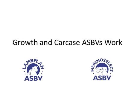 Growth and Carcase ASBVs Work. Sheep CRC - Information Nucleus Flock Background Sheep CRC initiated large scale progeny test of young industry sires -