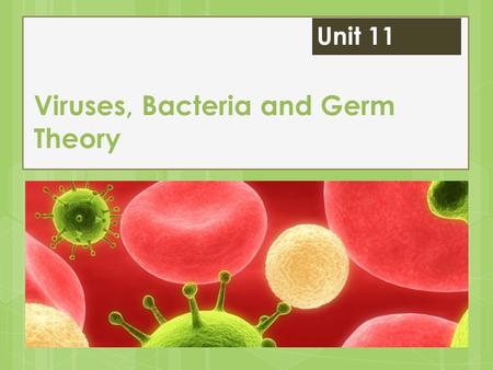 Viruses, Bacteria and Germ Theory