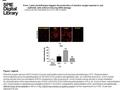 Date of download: 6/29/2016 Copyright © 2016 SPIE. All rights reserved. Reactive oxygen species (ROS) levels in human oral keratinocytes receiving laser.