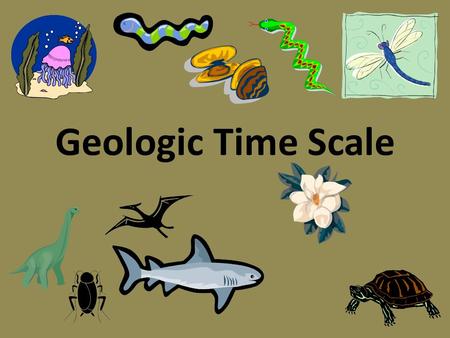 Geologic Time Scale. Imagine putting everything that has happened on Earth into a one hour time frame!