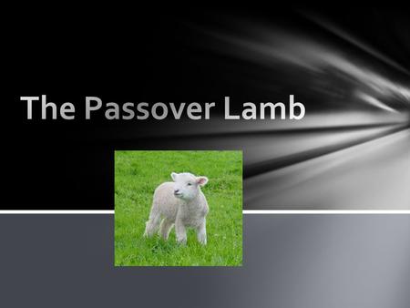 Why??? Our Lord Jesus Christ. “He was led as a lamb to the slaughter, and as a sheep before its shearers is silent, so He opened not His mouth.”