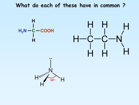 What do each of these have in common ? H 2 N C COOH H H.