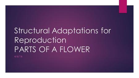 Structural Adaptations for Reproduction PARTS OF A FLOWER 4/6/16.