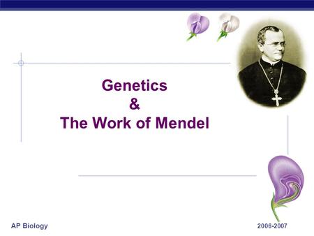 AP Biology 2006-2007 Genetics & The Work of Mendel.