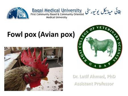 Dr. Latif Ahmad, PhD Assistant Professor