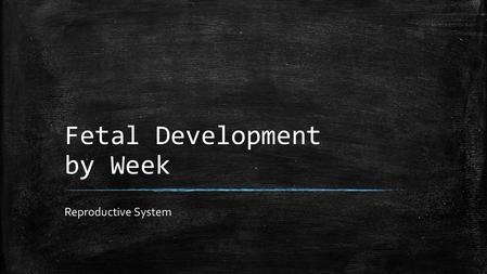 Fetal Development by Week