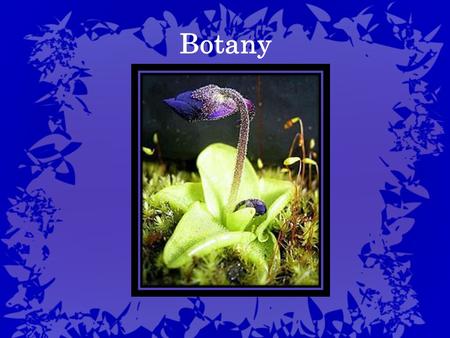 Botany. A branch of biology that involves the study of plant life The term botany comes from a Greek word that means: pasture, grass or fodder Botany.