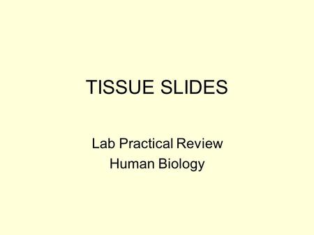 Lab Practical Review Human Biology