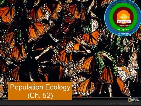 Population Ecology (Ch. 52) population ecosystem community biosphere organism.