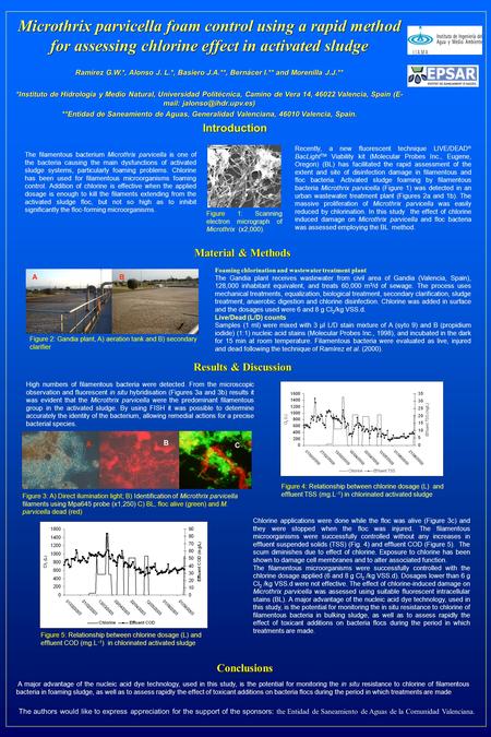 Microthrix parvicella foam control using a rapid method for assessing chlorine effect in activated sludge Ramírez G.W.*, Alonso J. L.*, Basiero J.A.**,