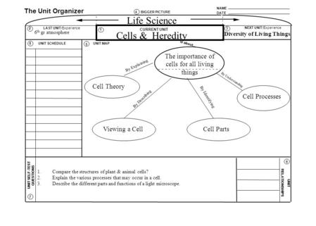 NAME DATE The Unit Organizer BIGGER PICTURE LAST UNIT/Experience CURRENT UNIT NEXT UNIT/Experience UNIT SELF-TEST QUESTIONS is about... UNIT RELATIONSHIPS.