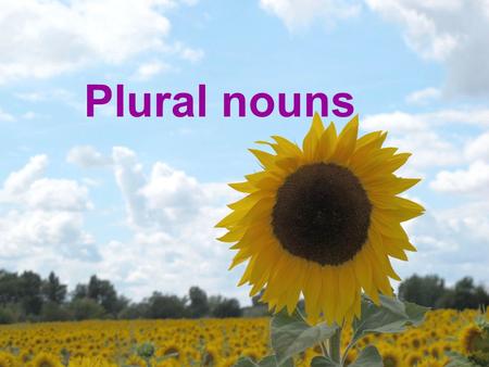 Plural nouns. A plural noun is a word that: Indicates that there is more than one person, animal, thing, or idea. When you talk about more than one of.