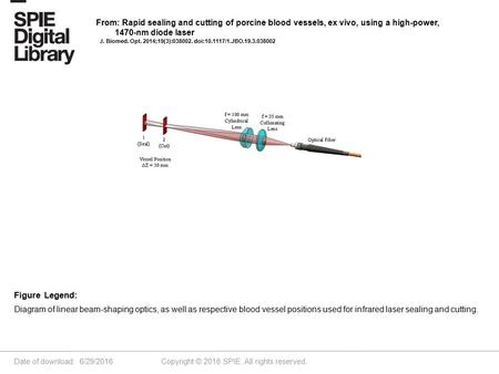 Date of download: 6/29/2016 Copyright © 2016 SPIE. All rights reserved. Diagram of linear beam-shaping optics, as well as respective blood vessel positions.