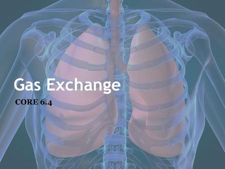 Gas Exchange CORE 6.4. 6.4.1 Distinguish between ventilation, gas exchange and cell respiration. Cellular respiration is. It is a continuous process in.