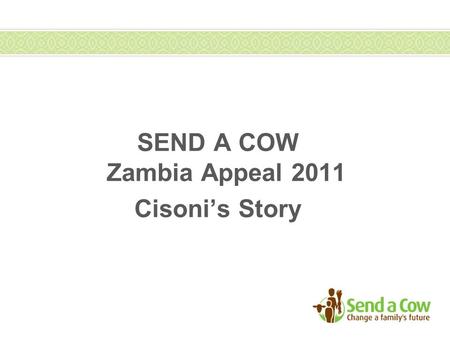 SEND A COW Zambia Appeal 2011 Cisoni’s Story. Zambia Appeal – Cisoni Mwale 43 year Cisoni Mwale lives with his wife and six children in Chiparamba area.