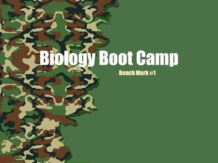 Biology Boot Camp Bench Mark #1. WARM UP ORGANIC COMPOUNDS & ENZYMES With your table, write down as many things as you can remember about organic compounds.