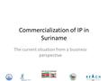 Commercialization of IP in Suriname The current situation from a business perspective.