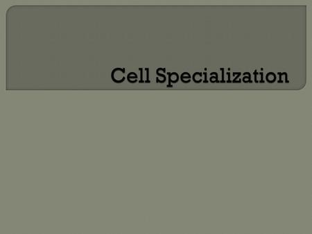 Unicellular Organism – consists of only one cell - that one cell carries out all functions required to maintain the life of the organism Multicellular.