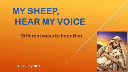 MY SHEEP, HEAR MY VOICE Different ways to hear Him 31 January 2016.