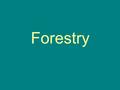 Forestry. Forest –Biome whose dominant biotic factors are trees Deforestation –Cutting or burning down a forest Reforestation –Replanting a forest where.