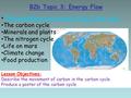 B2b Topic 3: Energy Flow Lesson Objectives: Describe the movement of carbon in the carbon cycle Produce a poster of the carbon cycle Photosynthesis and.