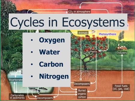 Cycles in Ecosystems Oxygen Water Carbon Nitrogen.