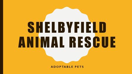 SHELBYFIELD ANIMAL RESCUE ADOPTABLE PETS. OUR MISSION …to rescue, rehabilitate, and re- home stray or unwanted pets. The volunteers of Shelbyfield Animal.