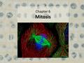 Chapter 6 Mitosis. Last step in the cell cycle is Mitosis One cell splits and becomes two Linking Growth & Duplication 2.