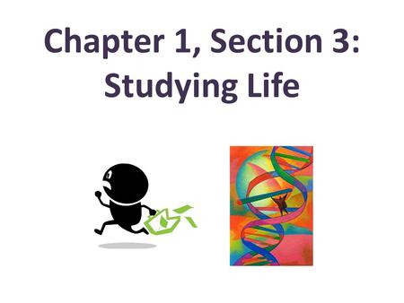 Chapter 1, Section 3: Studying Life. Characteristics of Living Things A universal genetic code Grow and develop stimuli Respond to stimuli in their environment.