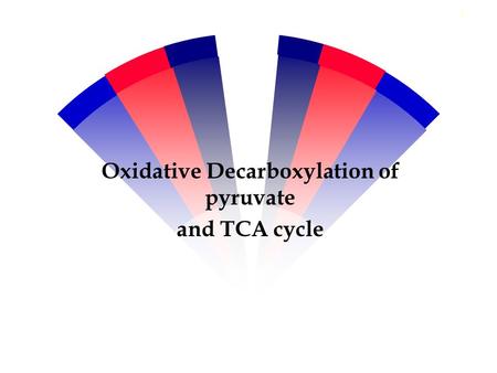 Oxidative Decarboxylation of pyruvate and TCA cycle