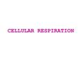 CELLULAR RESPIRATION. Cellular Respiration complex process whereby cells make ATP by breaking down organic compounds many rxns in aerobic respiration.