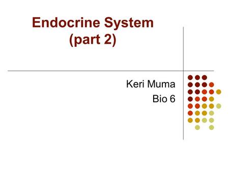 Endocrine System (part 2) Keri Muma Bio 6. Pancreas Located behind the stomach Has both exocrine and endocrine functions.