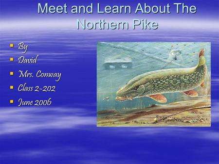 Meet and Learn About The Northern Pike  By  David  Mrs. Conway  Class 2-202  June 2006.