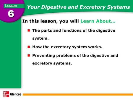 Your Digestive and Excretory Systems In this lesson, you will Learn About… The parts and functions of the digestive system. How the excretory system works.