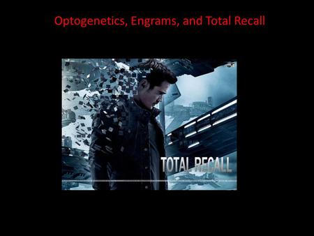 Optogenetics, Engrams, and Total Recall.  clips/total-recall/something-more Objective vs subjective reality In 3 minutes.