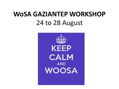 WoSA GAZIANTEP WORKSHOP 24 to 28 August. AIMS OF WORKSHOP FIRST DRAFT POPULATION ESTIMATES FINALISED FIRST DRAFT SECTOR TABLES FINALISED.