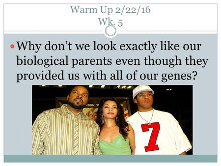 Warm Up 2/22/16 Wk. 5 Why don’t we look exactly like our biological parents even though they provided us with all of our genes?