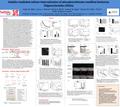 A. Stabilin-mediated cellular internalization of phosphorothioate-modified Antisense Oligonucleotides (ASOs) Colton M. Miller*, Aaron J. Donner §, Emma.