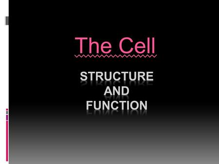 The Cell. Prokaryote vs. Eukaryote Prokaryote Eukaryote No Nucleus=Genetic Material not in nucleus. Smaller/Simpler than Eukaryotes Single Celled Organisms.