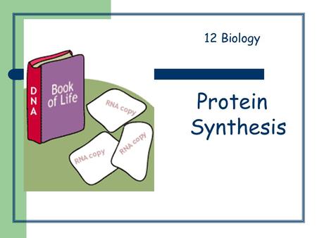 Protein Synthesis 12 Biology. Protein synthesis 1. DNA unwinds 2. mRNA copy is made of one of the DNA strands. 3. mRNA copy moves out of nucleus into.