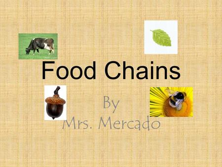 Food Chains By Mrs. Mercado.