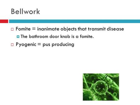 Bellwork  Fomite = inanimate objects that transmit disease  The bathroom door knob is a fomite.  Pyogenic = pus producing.