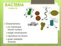 BACTERIA chapter 24  Characteristics  no membrane bound nucleus  single chromosome  reproduce by fission  great metabolic diversity.