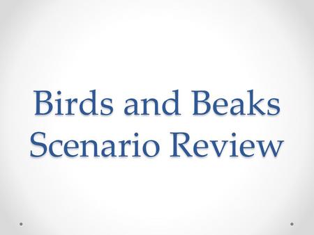 Birds and Beaks Scenario Review. 11. What caused the increase in the average beak size of the finch population after the 1977 drought? D – Finches with.